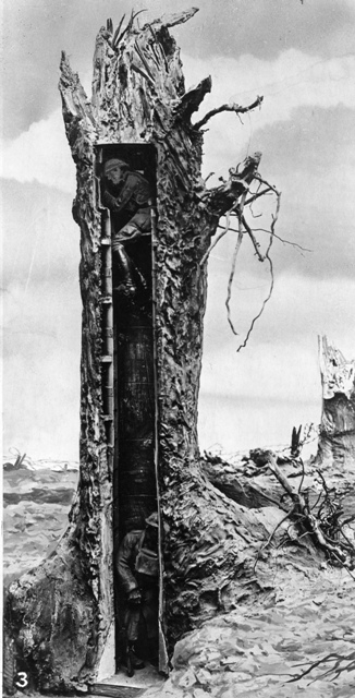 Photographoe montrant la position de deux observateurs à l'intérieur d'un arbre-observatoire blindé. Oise 1917