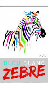 Logo Bleu Blanc Zèbre 2